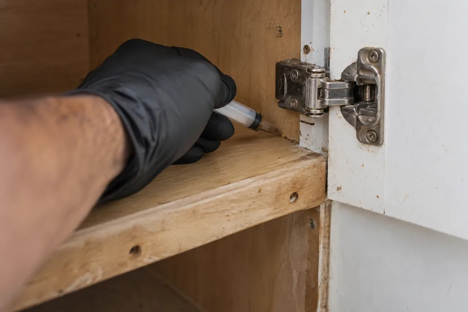 Gloved hand applying gel bait inside a cabinet at a hinge, cockroach control in Boston, Massachusetts